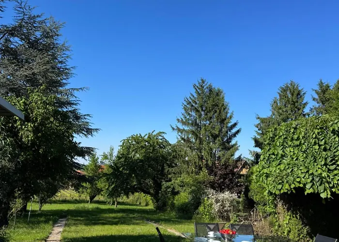 Havre De Paix Au Coeur Des Vignes Pour 4 A 6 Personnes Epfig